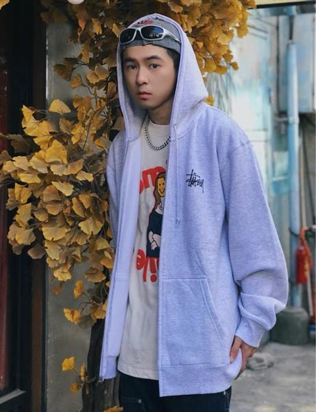 Stussy Basic Zip Logo Hoodie