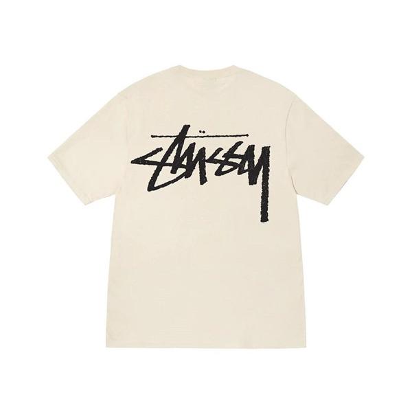 Stussy Big Stock Logo Tee ( LNĐ )